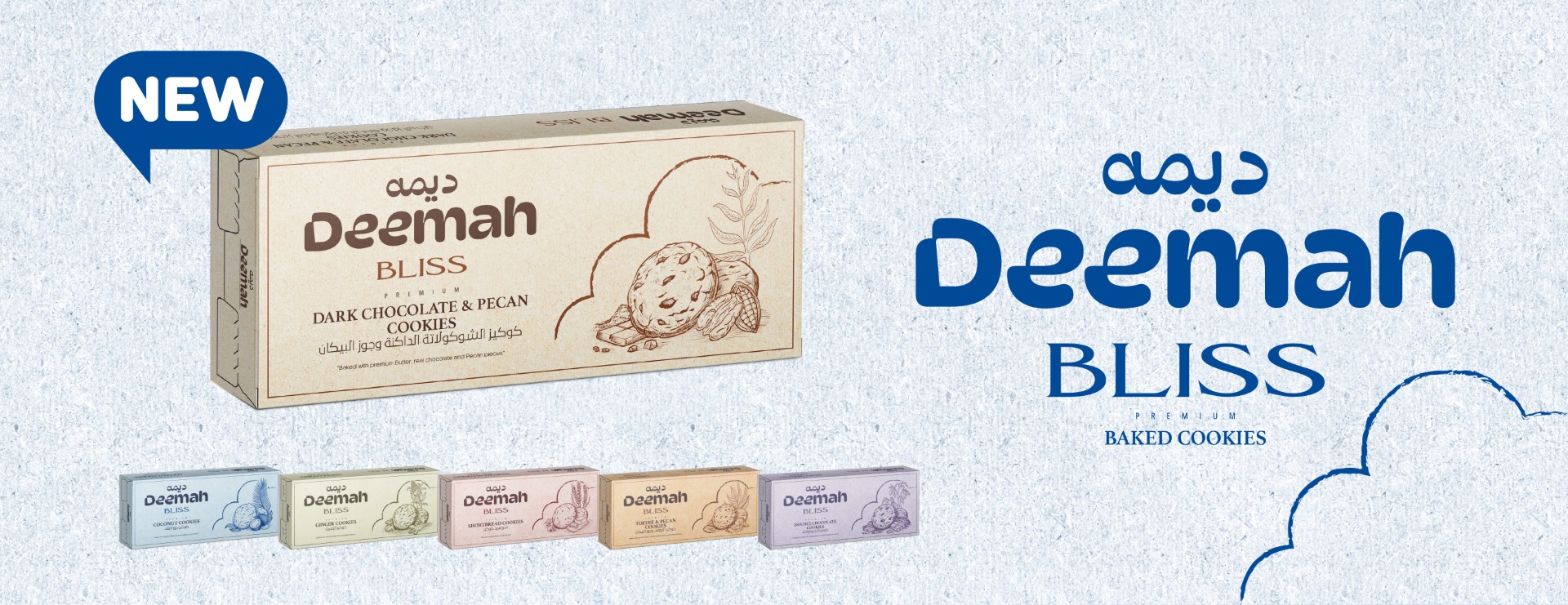 DMH BlISS Website banner ENG